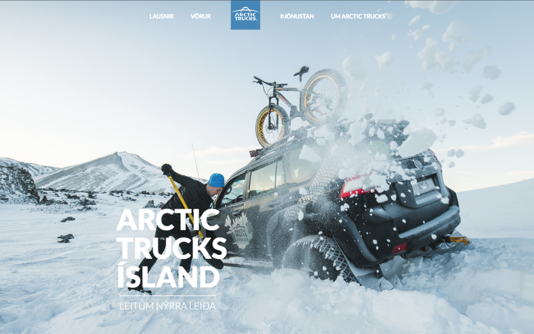 Investment in Arctic Trucks